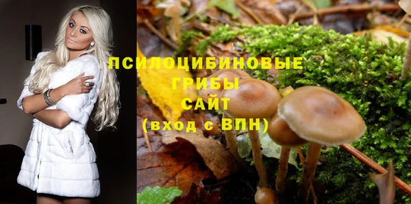 jwh Тавда