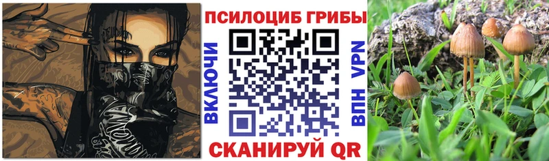 MEGA вход  Моршанск  Галлюциногенные грибы мицелий 